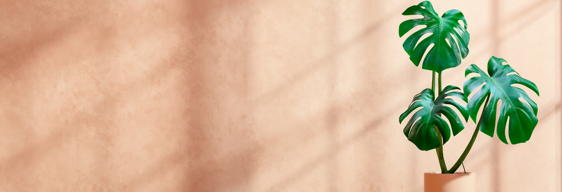 Island Life Guides - Tropical Plants In Island Decor