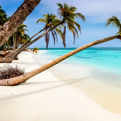 Island Life Caribbean